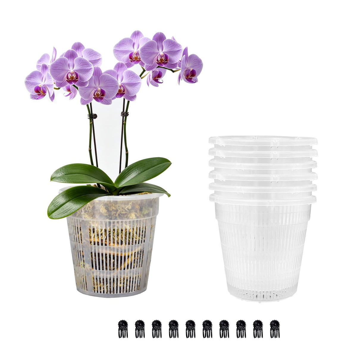 Tialero Orchid Pot Set of 6 clear pots with clips