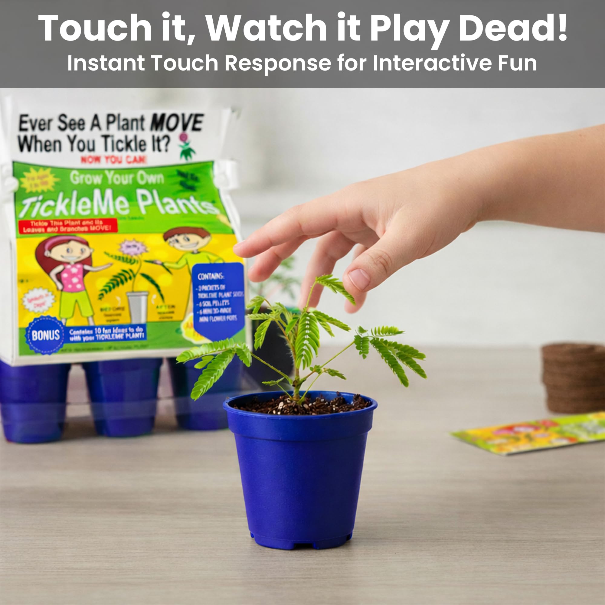 TickleMe Plant growing process with seeds and soil