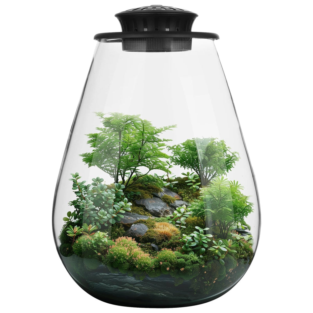 Tideme Mini Desktop Glass Plant Terrarium clear design front view