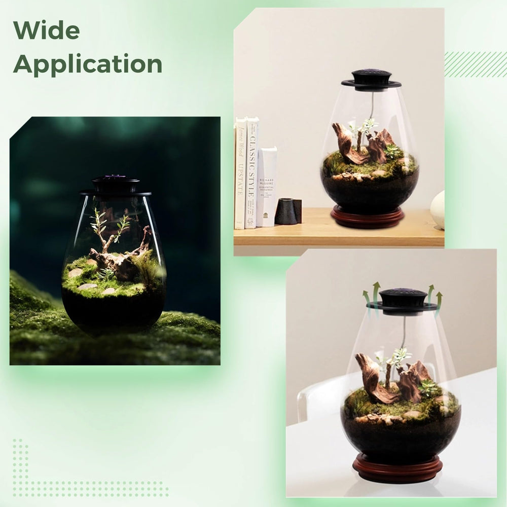 Tideme Mini Glass Plant Terrarium packaging on display