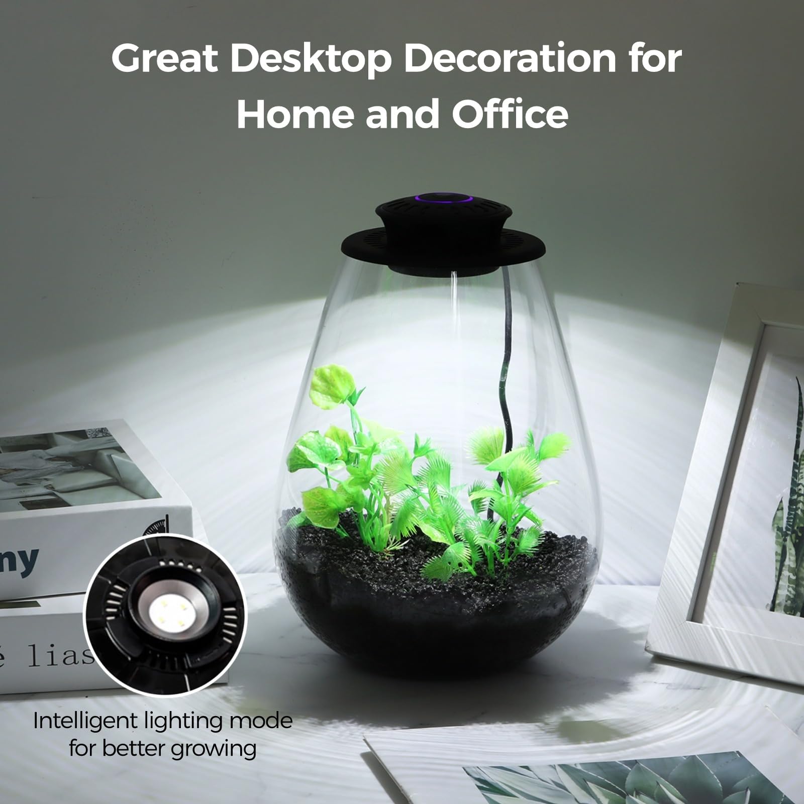 Tideme Mini Glass Plant Terrarium with LED grow light on table