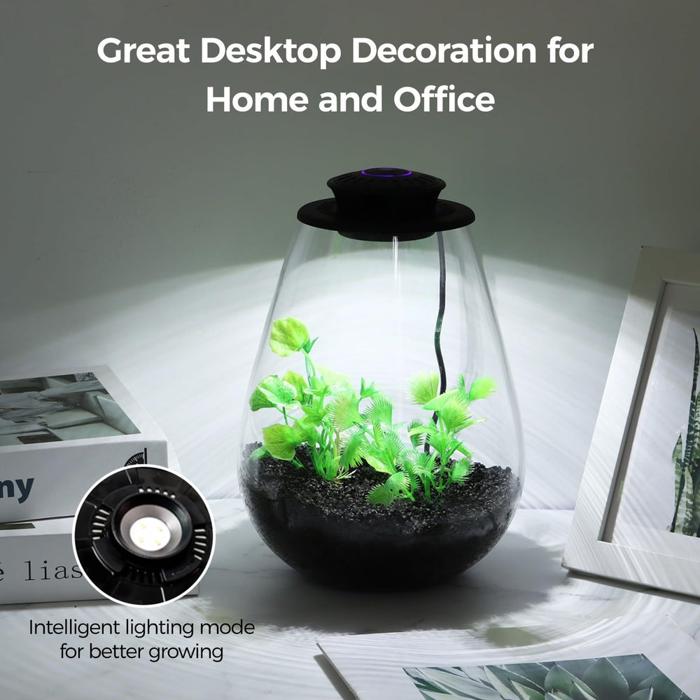 Tideme Mini Glass Plant Terrarium with LED grow light on table