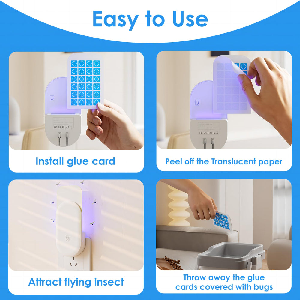 TIENBE Glue Cards displayed with home setting background