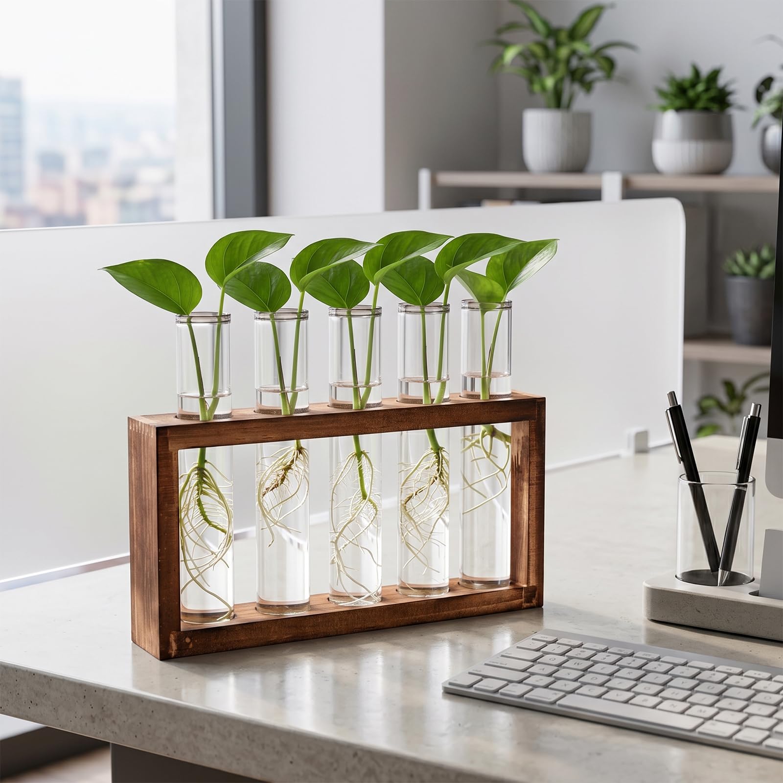 Tigvio Desktop Glass Plant Propagation Station in a modern kitchen