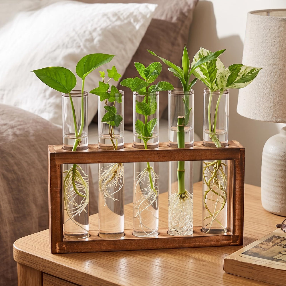 Tigvio Desktop Glass Plant Propagation Station packaging