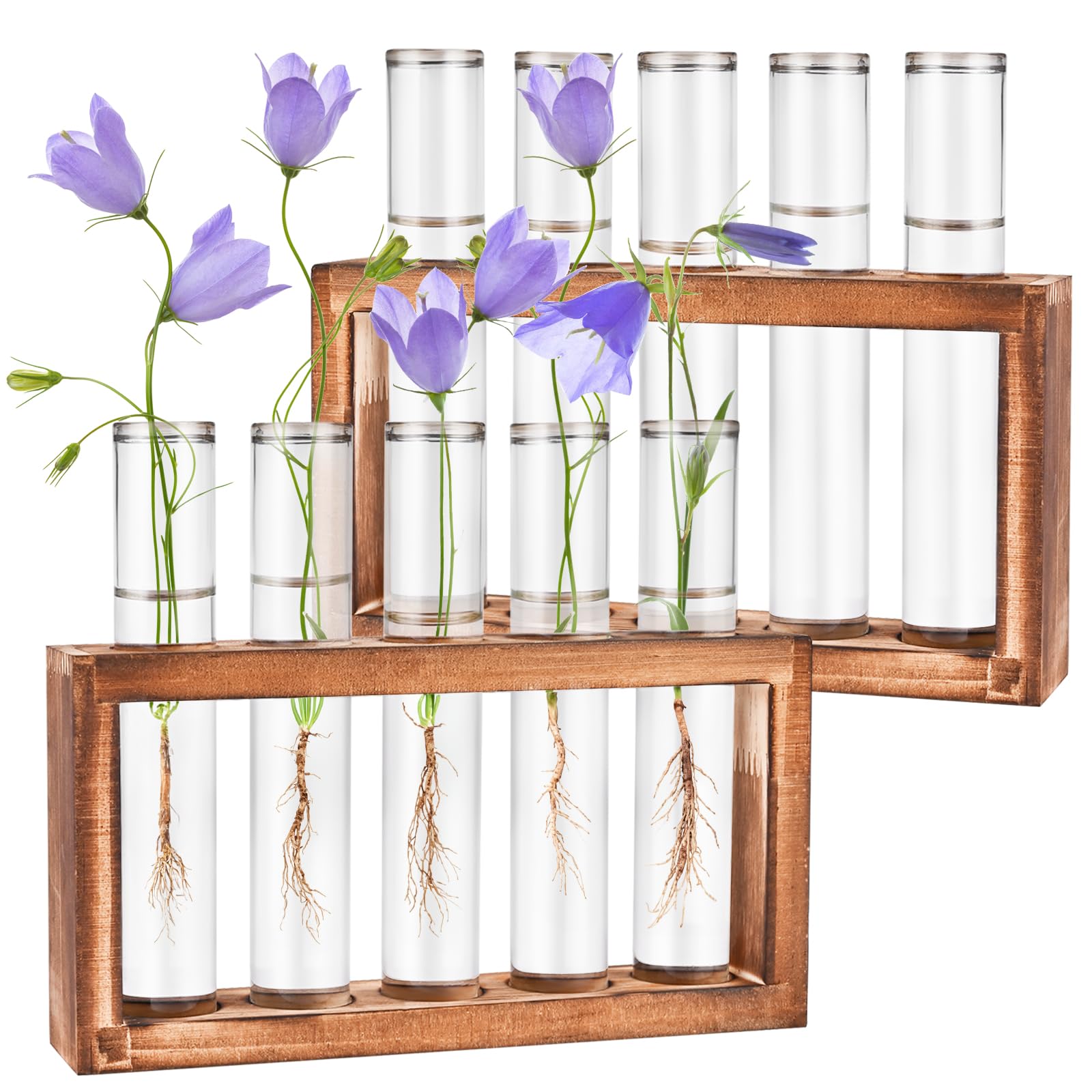 Tigvio Desktop Glass Plant Propagation Station with 10 clear tubes