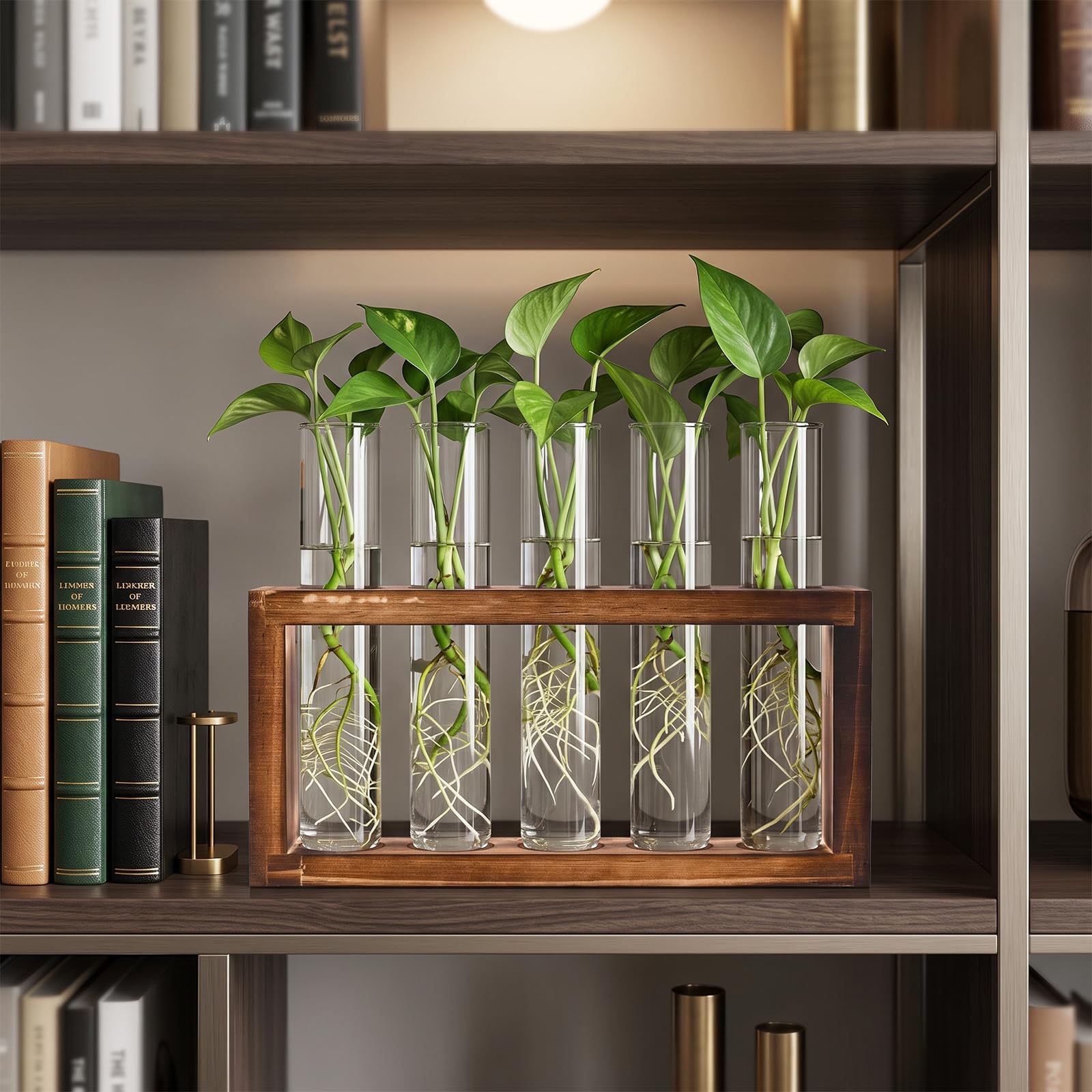 Tigvio glass tubes filled with plant cuttings