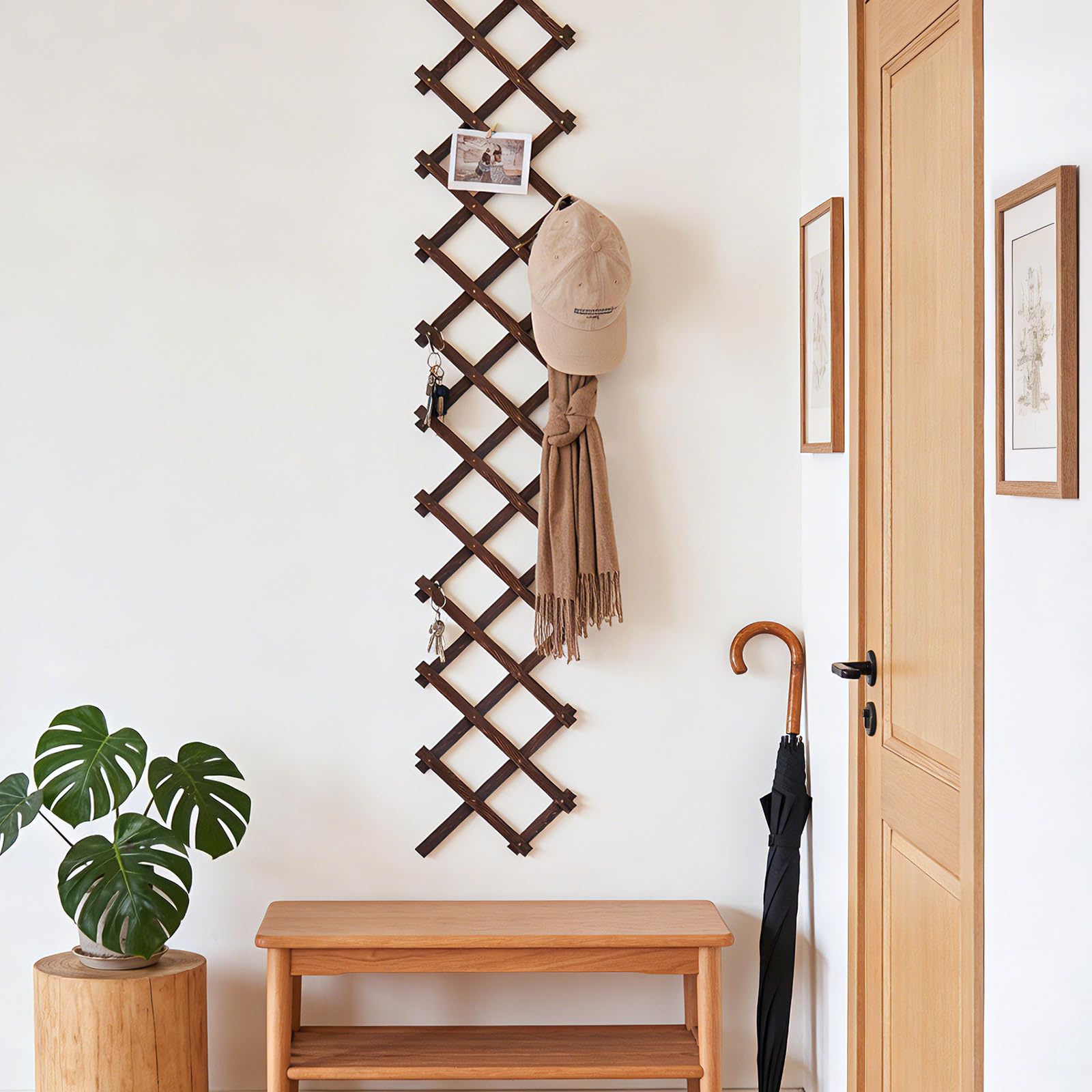 Tilinyan & one Expandable Garden Trellis dimensions and specifications on packaging