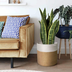 TIMEYARD Large Plant Basket showcasing sturdy handles
