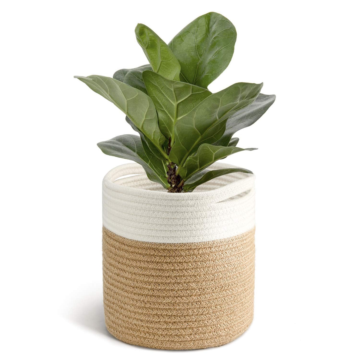 TIMEYARD Rope Plant Basket front view in jute mixed white