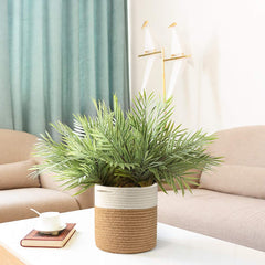 TIMEYARD Rope Plant Basket with storage items inside