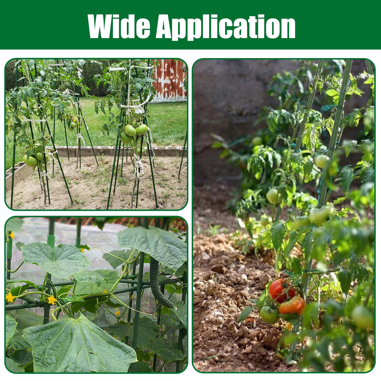 Tingyuan green plant stakes arranged in a neat row