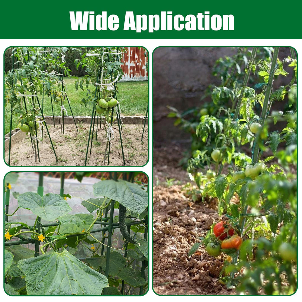 Tingyuan green plant stakes arranged in a neat row