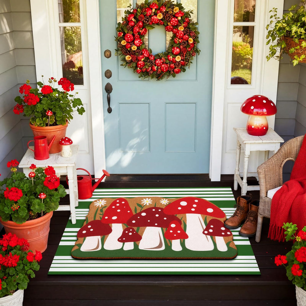 Tinideya doormat set with non-slip rubber backing