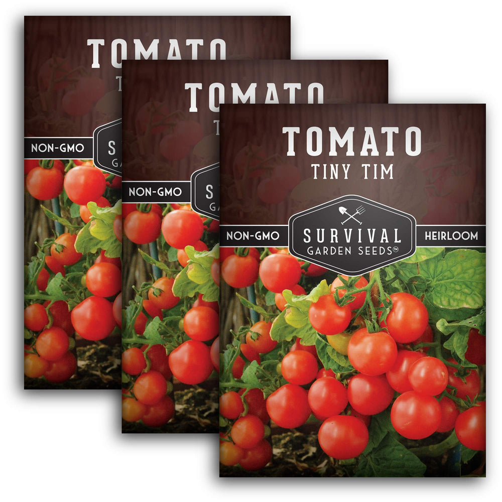 Tiny Tim Tomato Seeds 3 Pack front view showing packaging