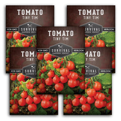 Tiny Tim Tomato Seeds 5 Pack front view