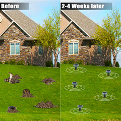 Tirgo Mole Repellent Green Spike with Solar Panel