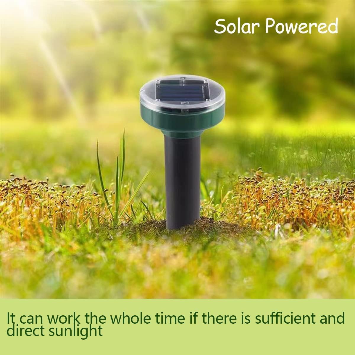 Tirgo solar powered mole repellent in outdoor environment