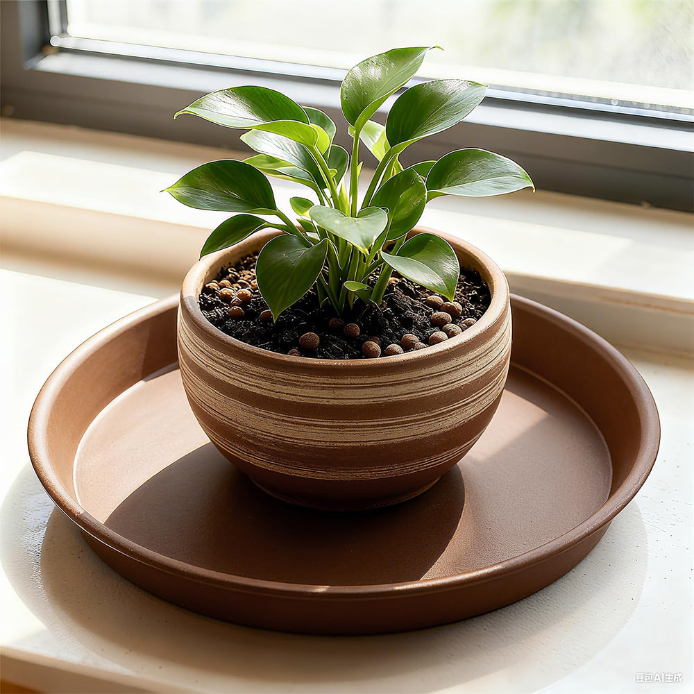 TITE packaging for the 12 inch plant saucer 3 pack