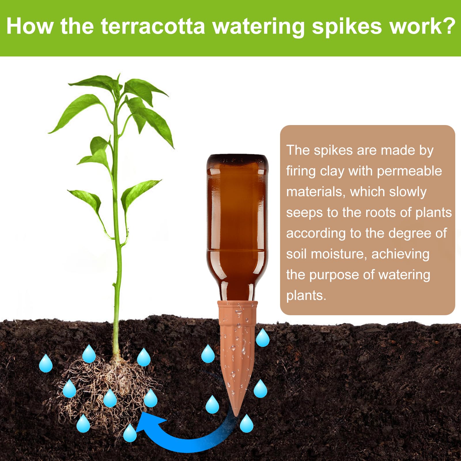 TKSCUSR Terracotta Self Watering Spike inserted in a flower pot