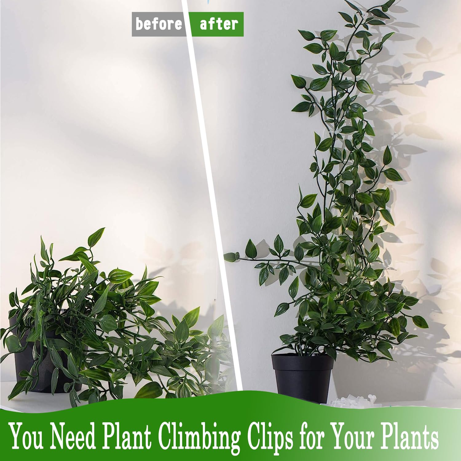 Tmofs plant clips displayed with measurement dimensions