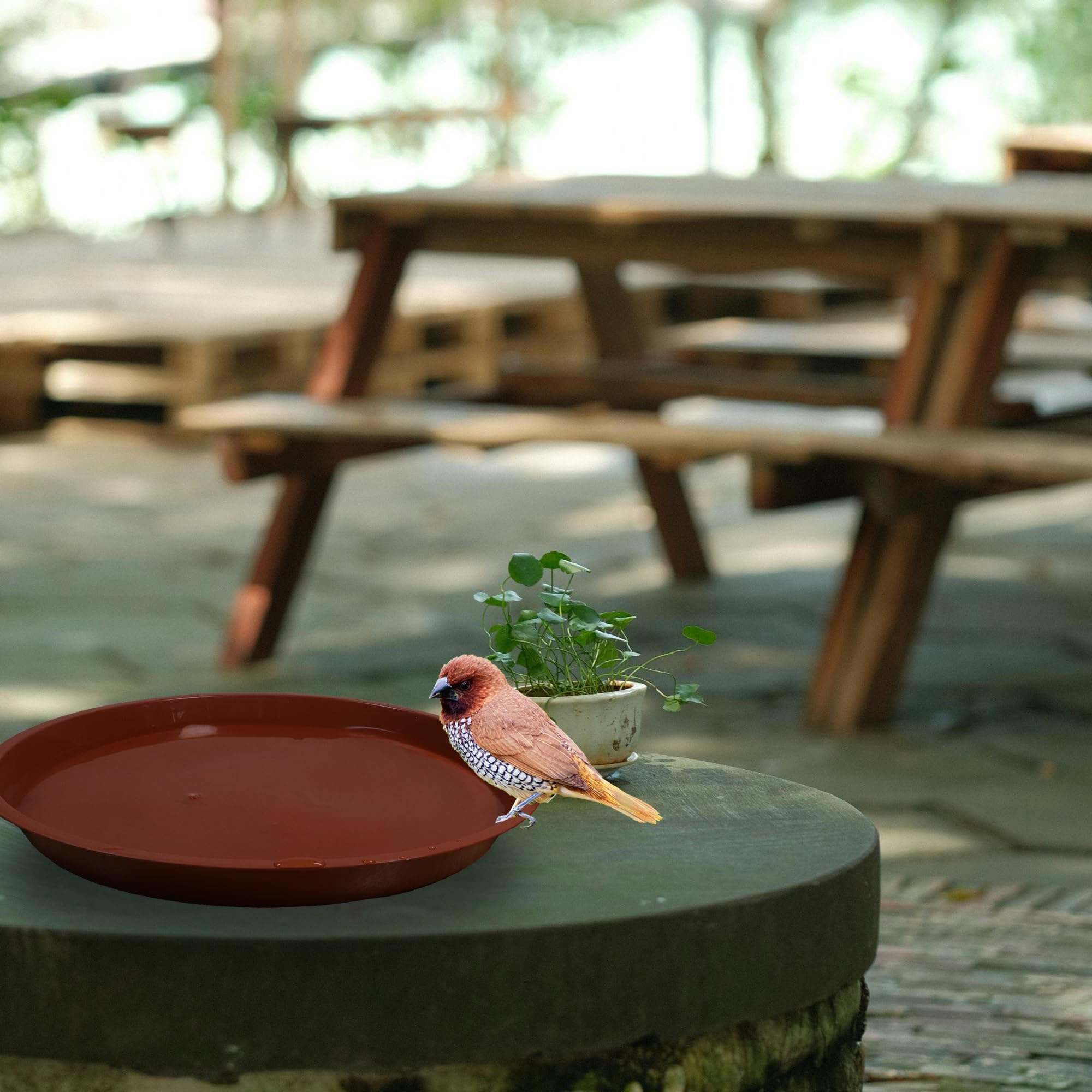 TNTIWQ 16 inch round plant saucer terracotta packaging view