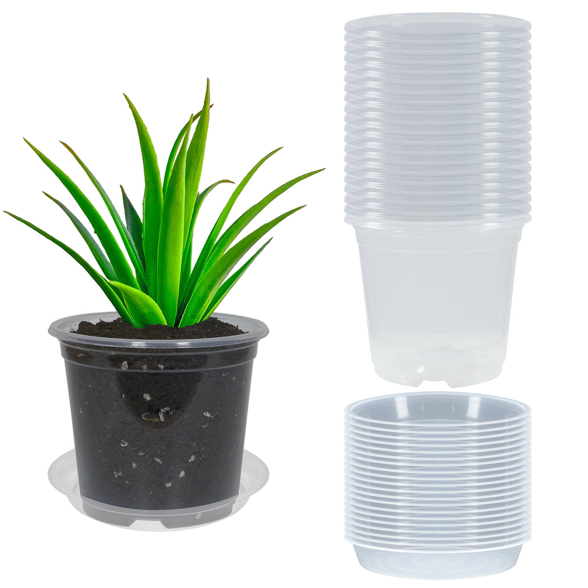 TNTIWQ 6 Inch Clear Nursery Pot front view