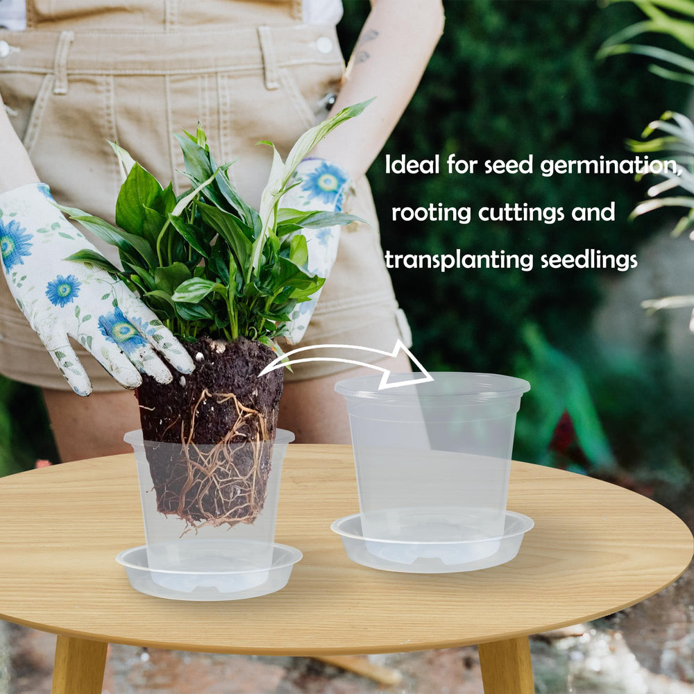 TNTIWQ 6 Inch Clear Nursery Pot showing drainage holes
