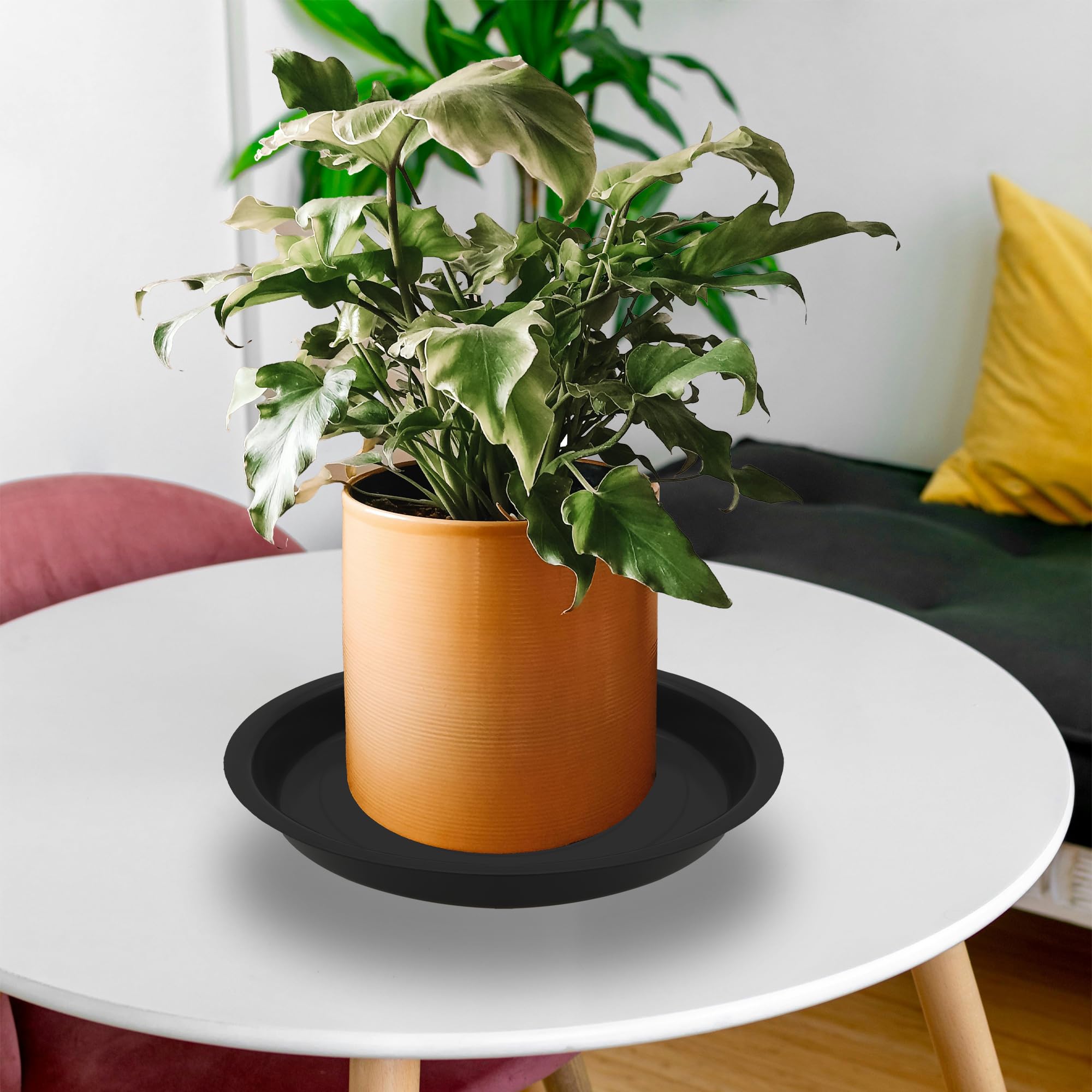 TNTIWQ 6 Inch Plant Saucer Black, decorative with pebbles