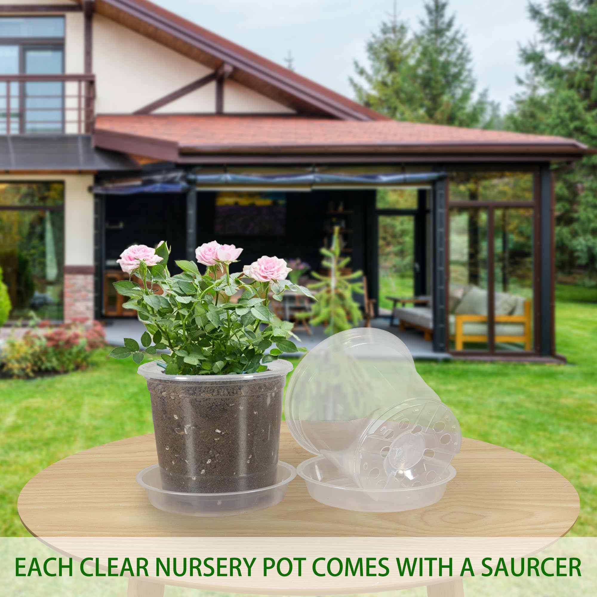 TNTIWQ Clear Nursery Pot with plant inside