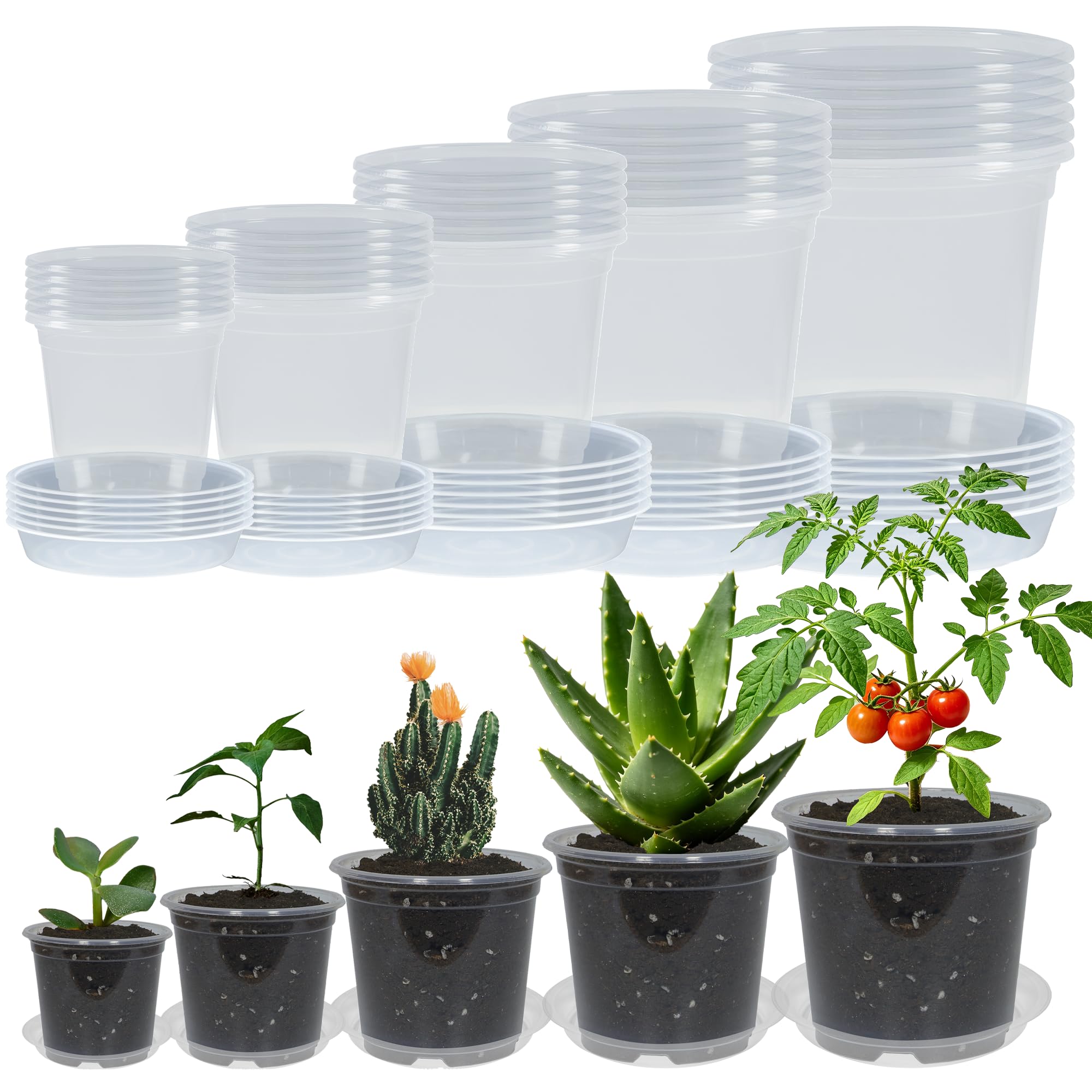 TNTIWQ clear nursery pots in different sizes stacked together