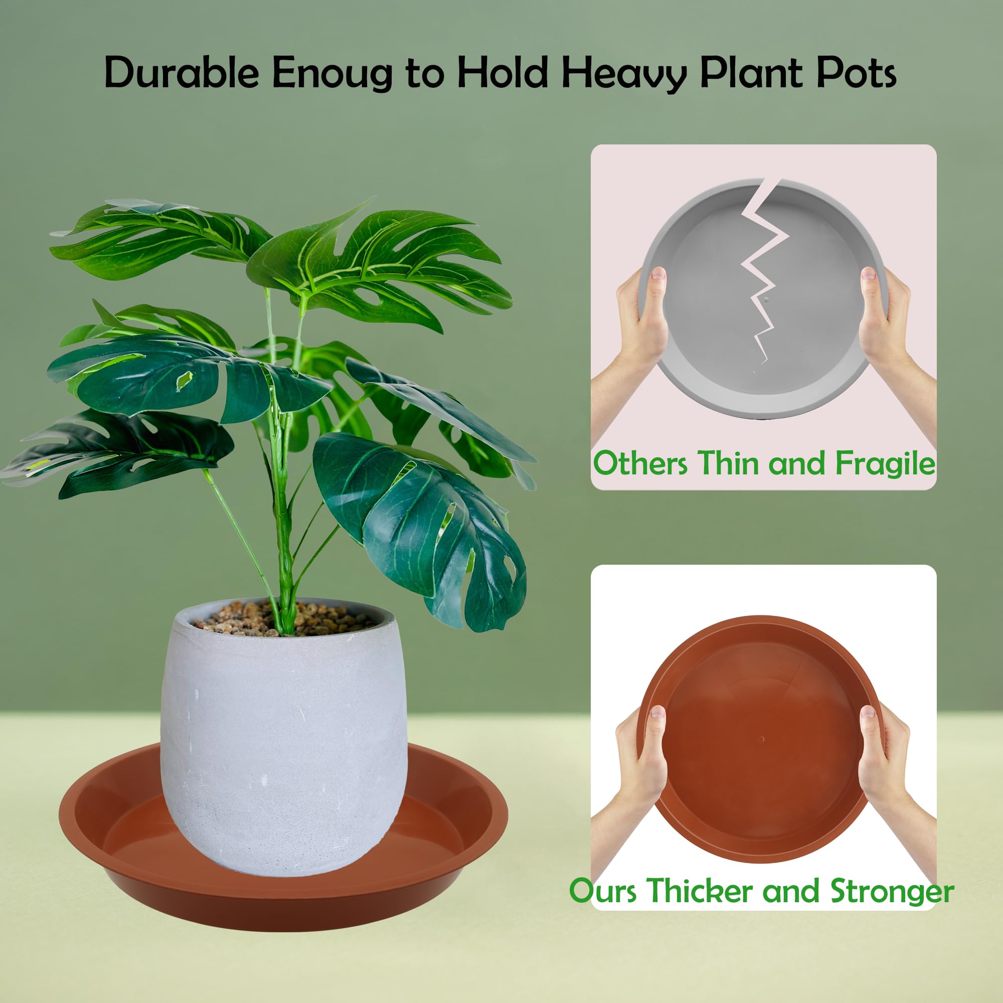 TNTIWQ plant saucer with a potted plant showing water drainage
