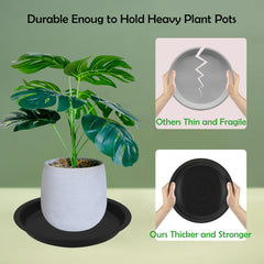 TNTIWQ plant saucers with water and soil