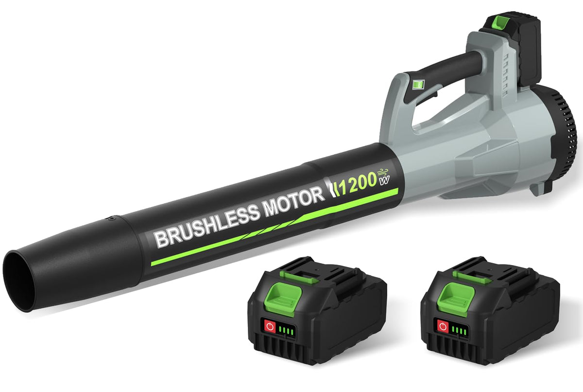 TOLOOCC cordless leaf blower front view