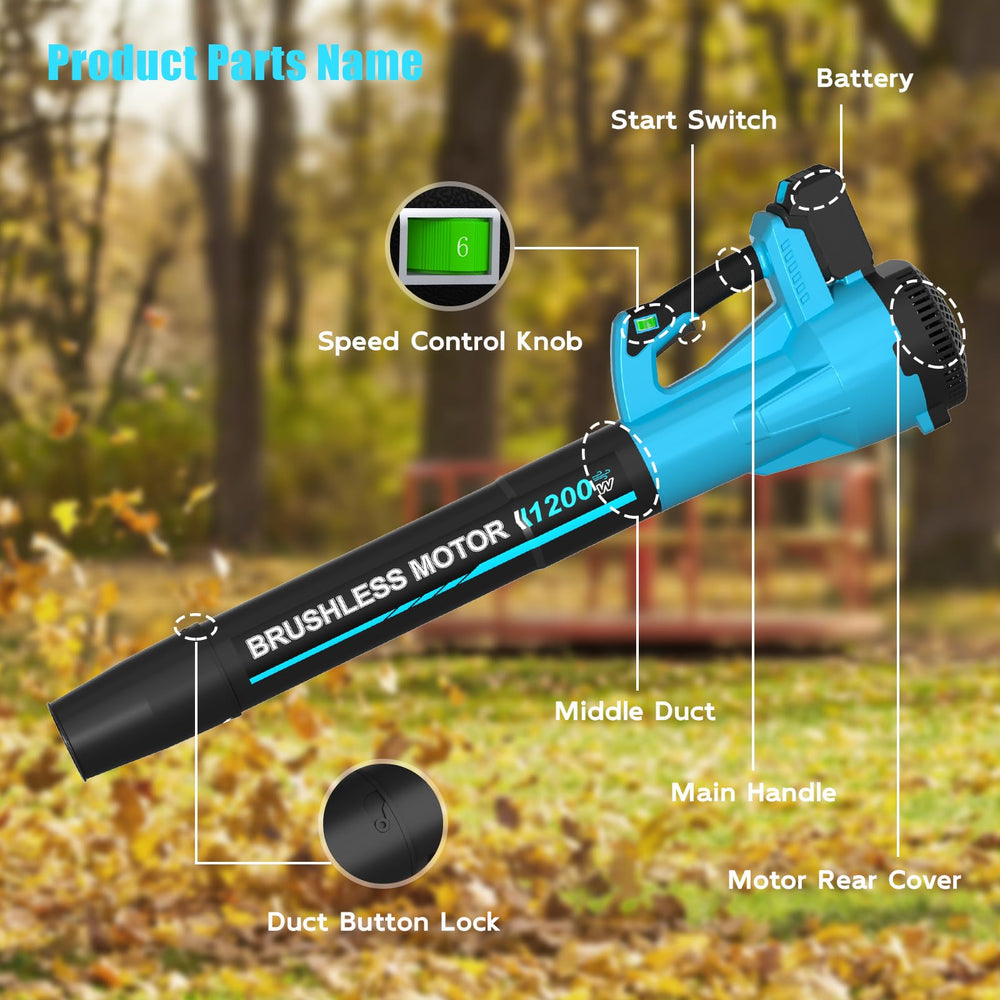 TOLOOCC leaf blower battery and charger included