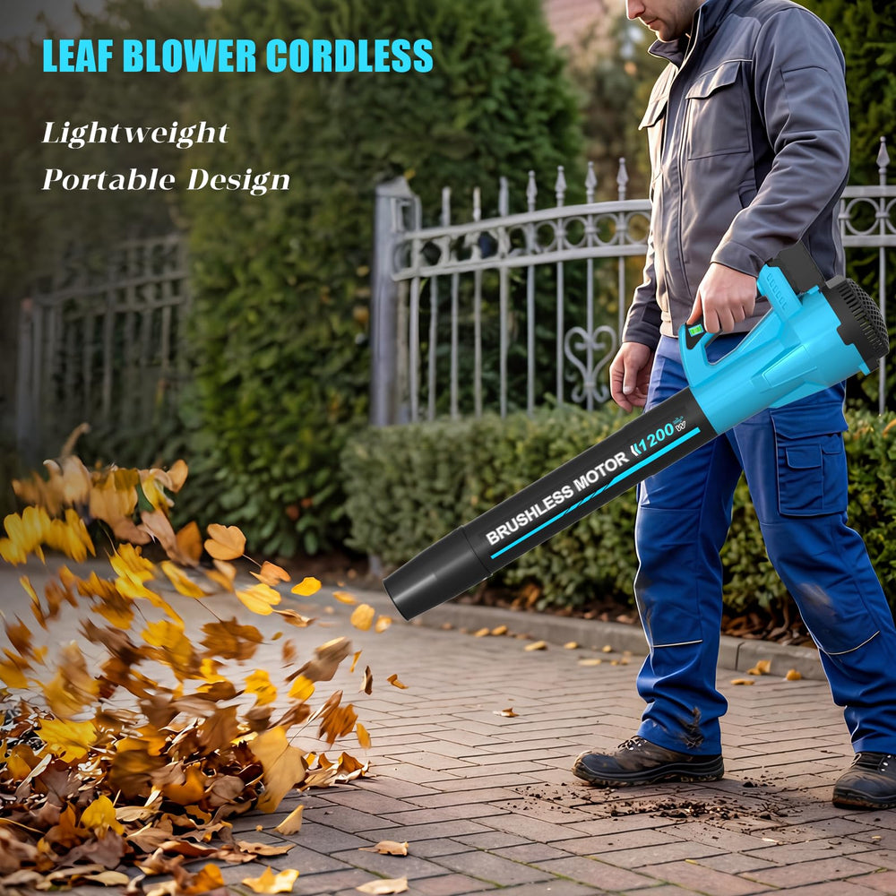 TOLOOCC leaf blower packaging box display