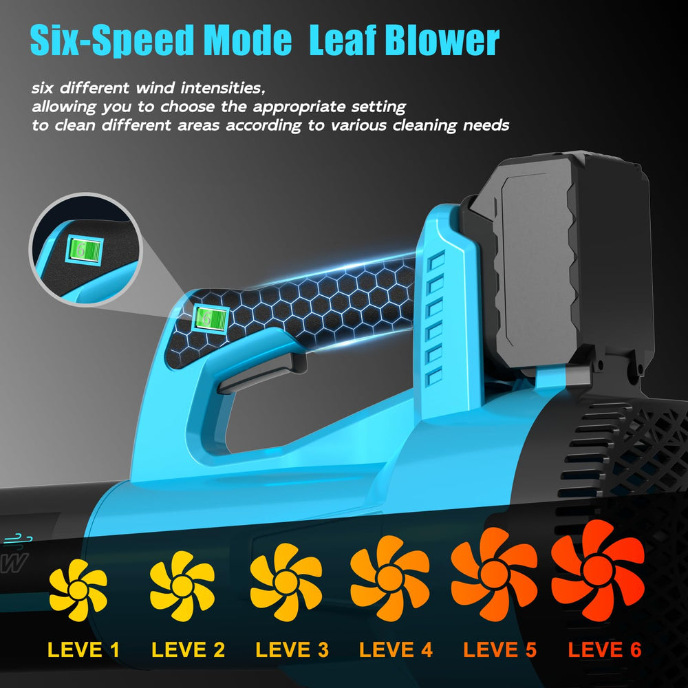 TOLOOCC leaf blower with two 4000 mAh batteries