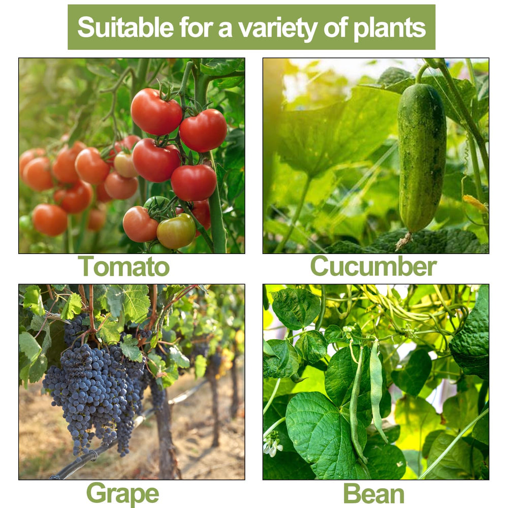Tomato plants supported using Pemaly hooks and clips