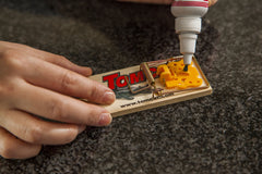 Tomcat Attractant Gel applied to a mouse trap