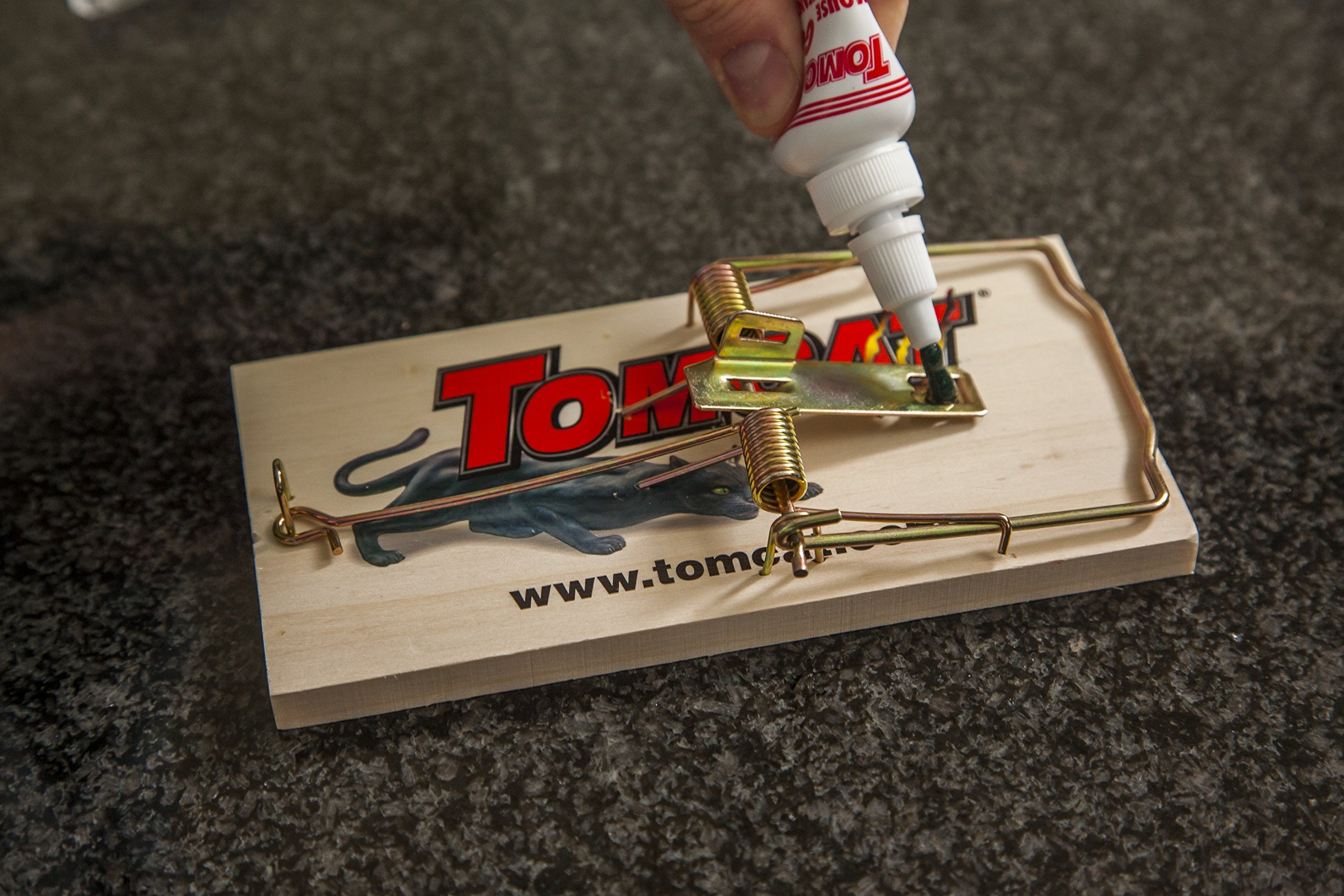 Tomcat Attractant Gel in a pest control setting