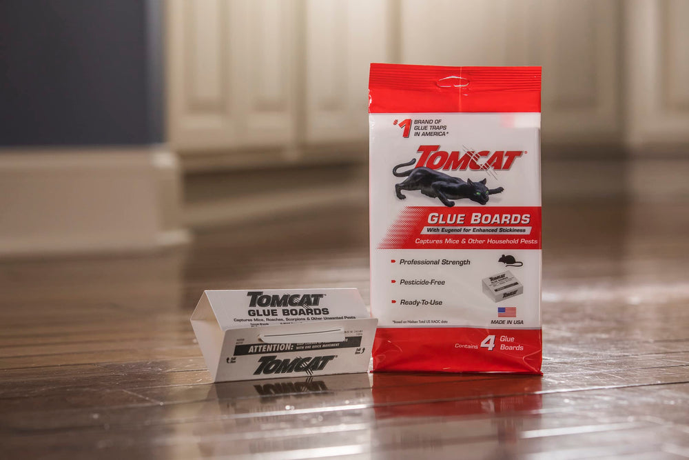 Tomcat Glue Board set up flat against a wall