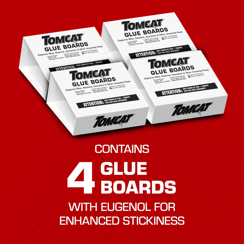 Tomcat Glue Boards, covered trap setup