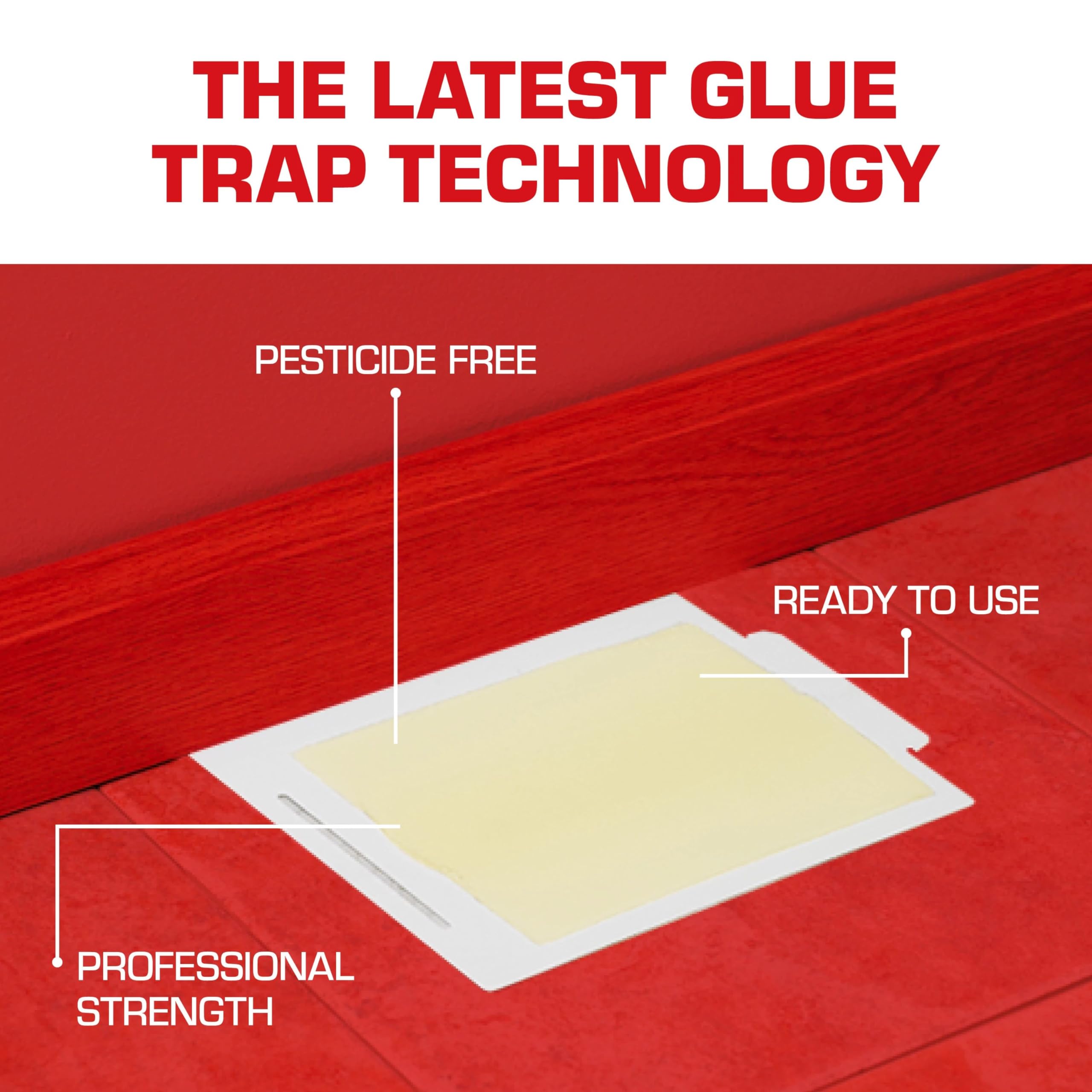Tomcat Glue Boards, traps placed along a wall