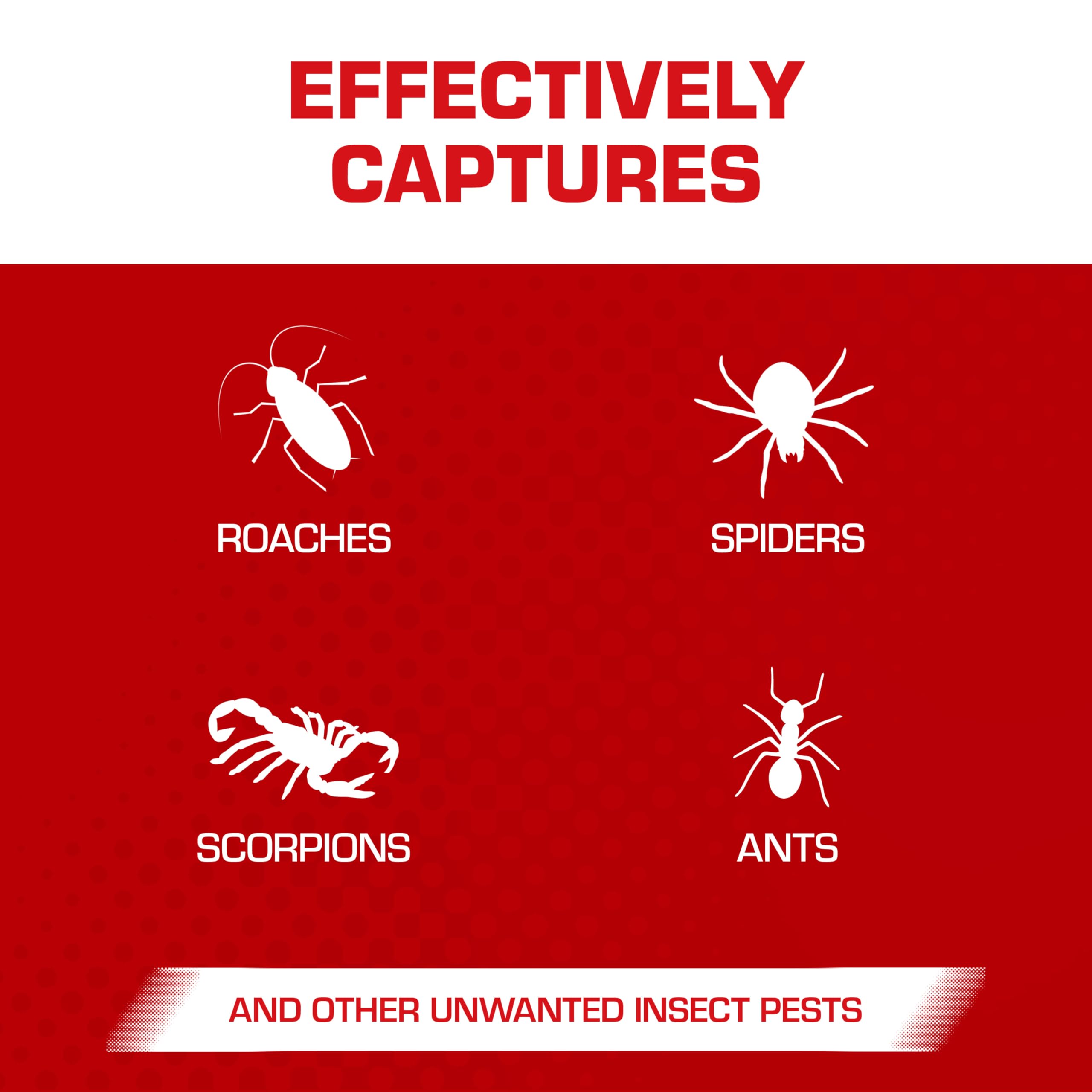 Tomcat glue trap covered setup for insect capture