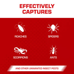 Tomcat glue trap covered setup for insect capture
