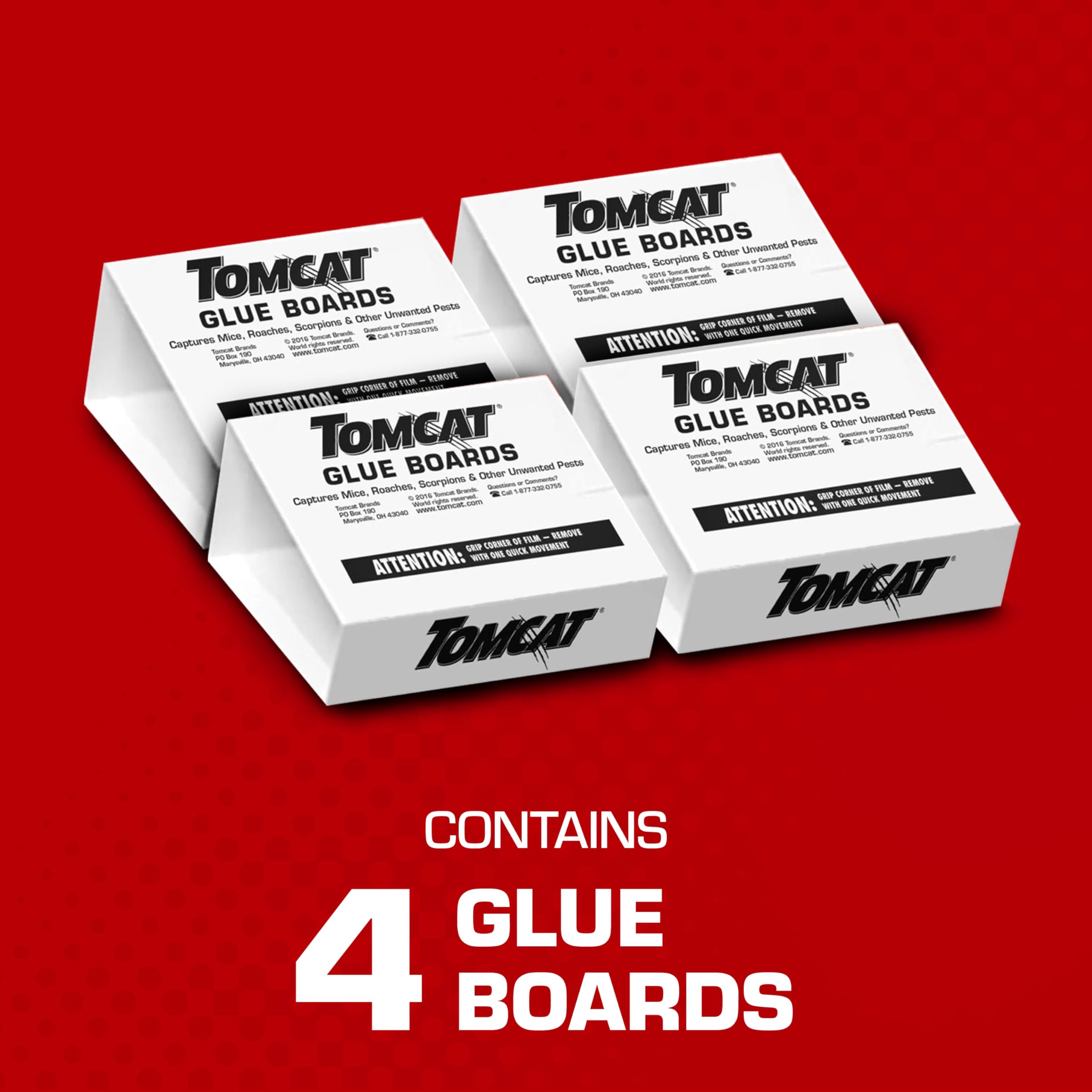 Tomcat glue trap in use flat on a surface