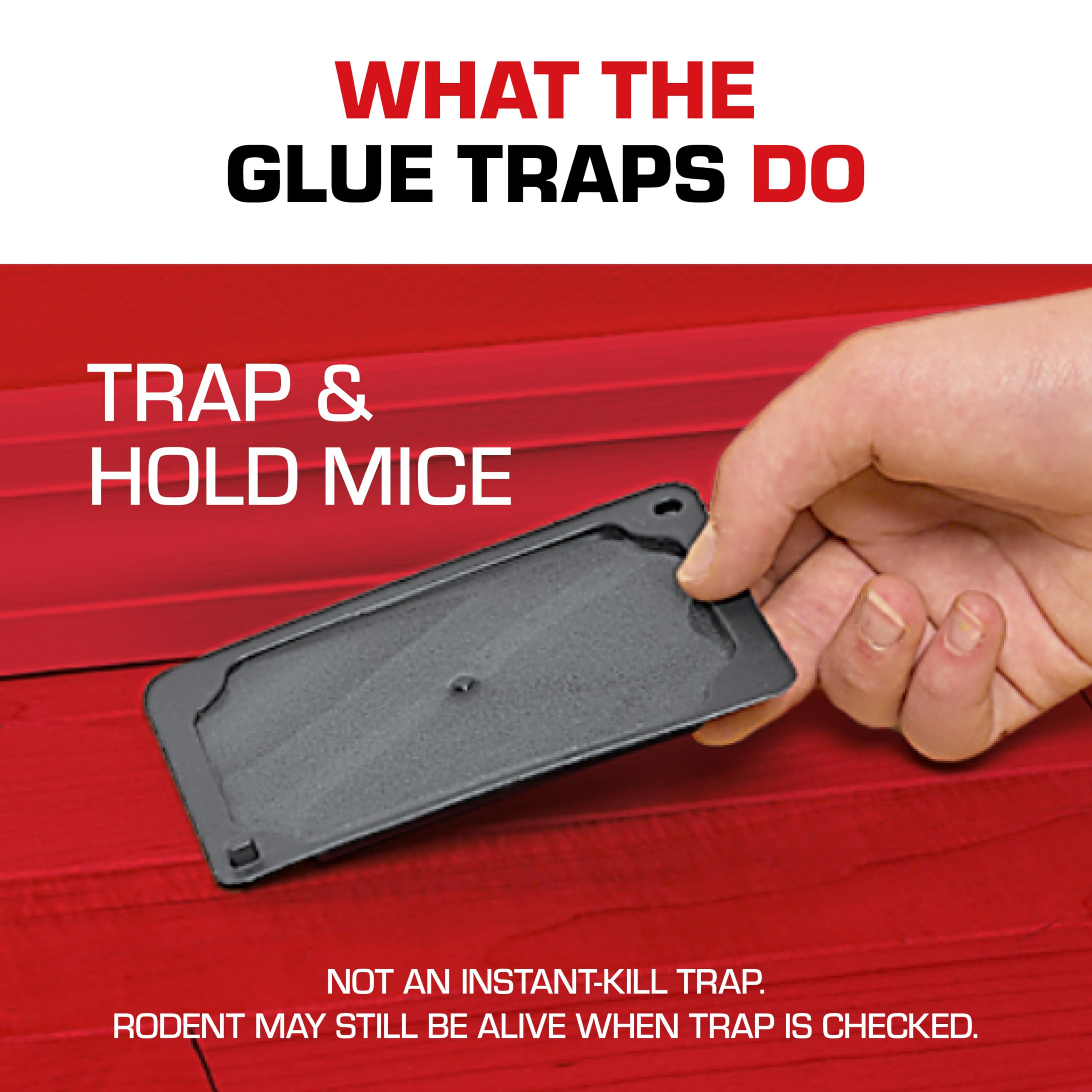 Tomcat Glue Traps Mouse Size set up in a kitchen corner