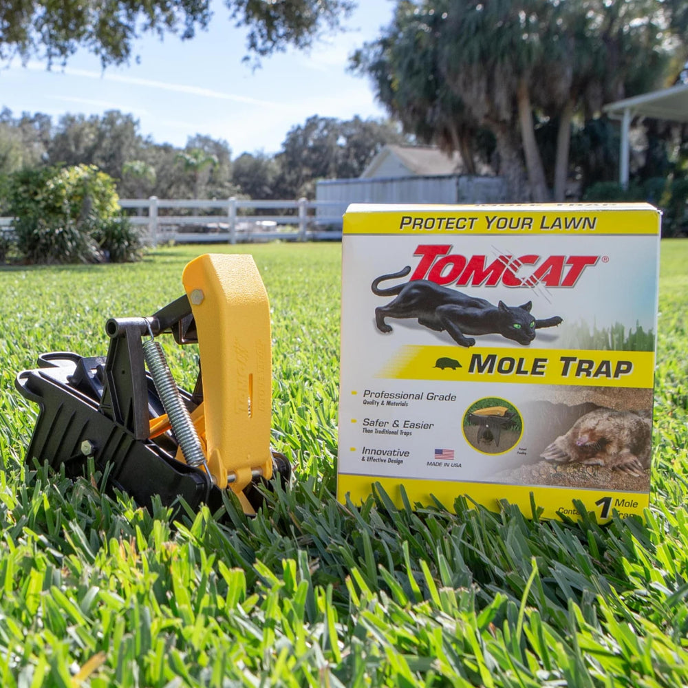 Tomcat Mole Trap set in an active mole tunnel