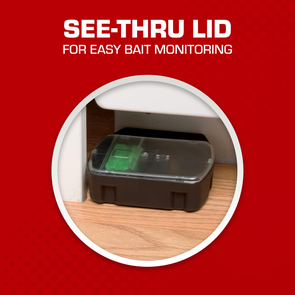 Tomcat Mouse Killer refillable station in a basement
