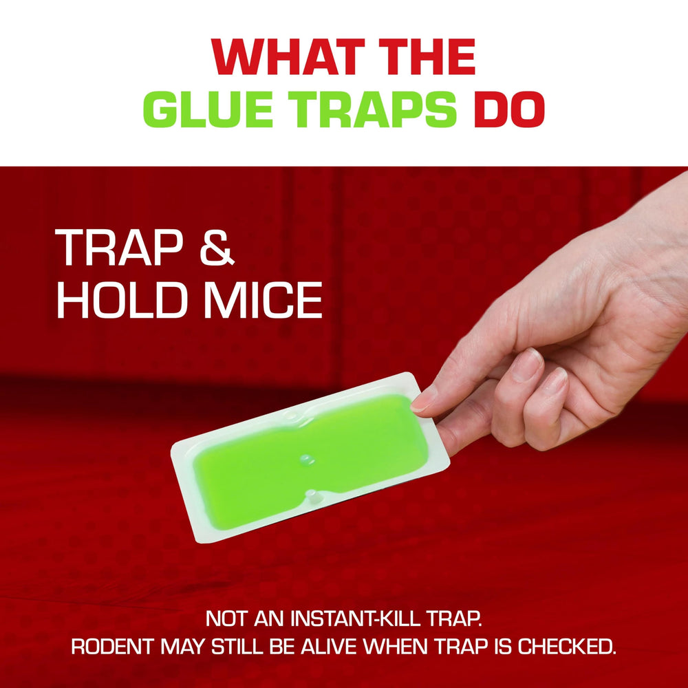 Tomcat Super Hold Glue Traps placed in a garage environment